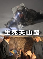 国产精品无av码在线观看